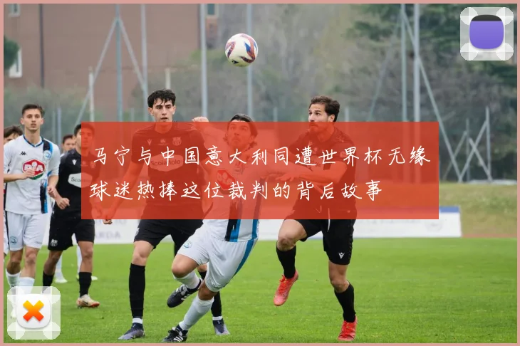马宁与中国意大利同遭世界杯无缘球迷热捧这位裁判的背后故事