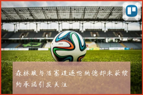 森林狼与活塞追逐伦纳德却未获续约承诺引发关注
